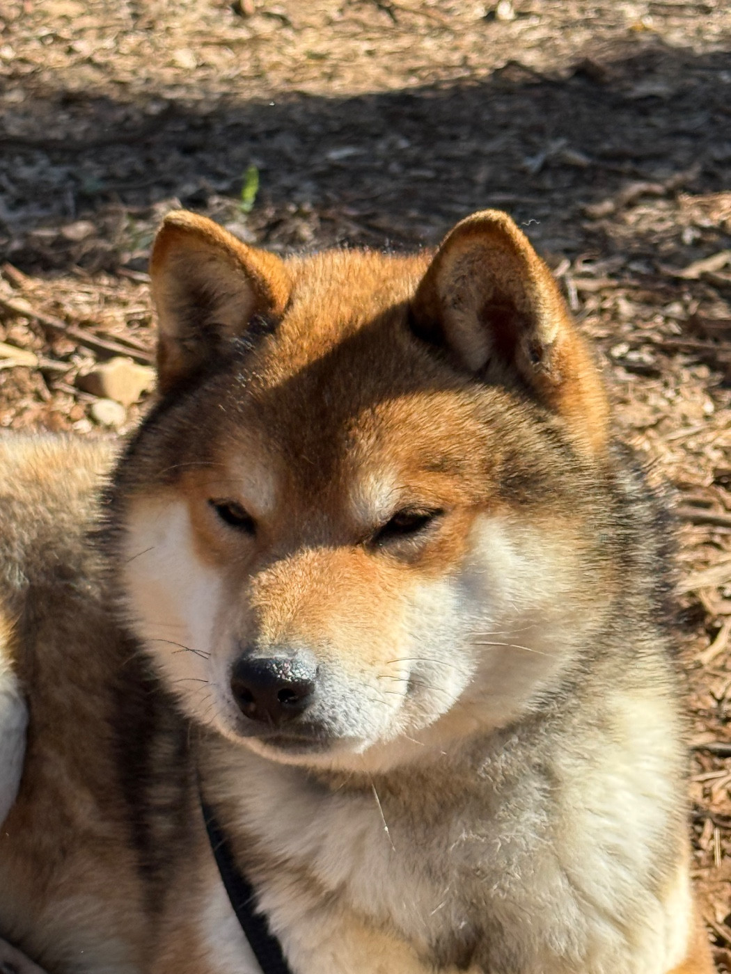 Tequila des portes de la moria