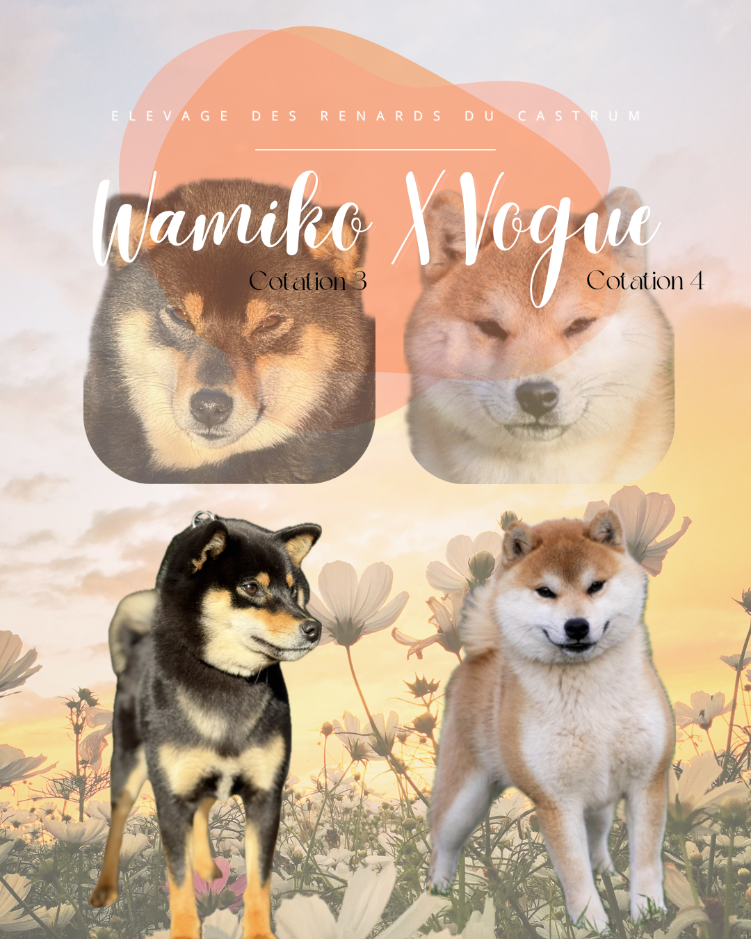 VVamiko X Vogue